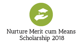 what is a merit award mean